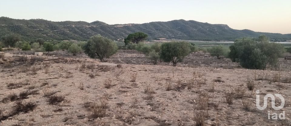 Terreno de 13.753 m² en Salinas (03638)