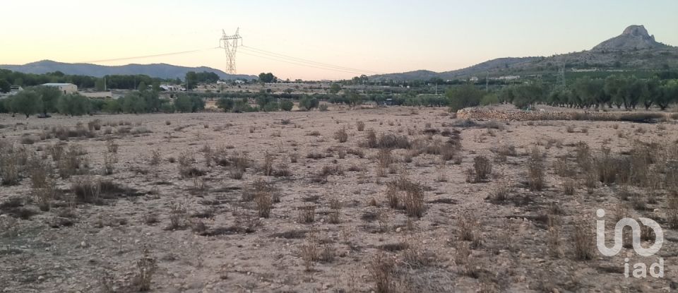 Terreno de 13.753 m² en Salinas (03638)