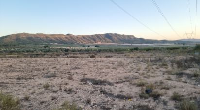 Land of 13,753 m² in Salinas (03638)