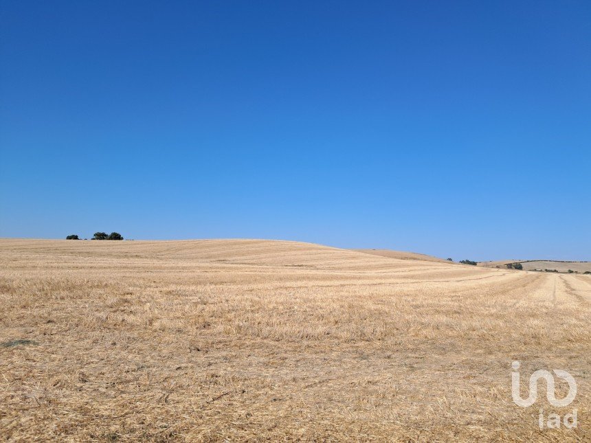 Terreny de 91.500 m² a El Drago (11620)