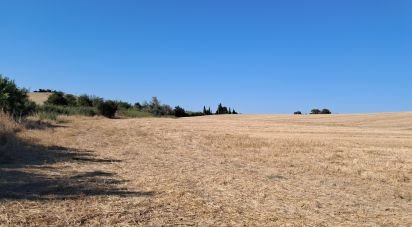 Land of 91,500 m² in El Drago (11620)