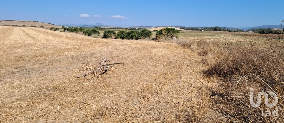 Terreny de 91.500 m² a El Drago (11620)