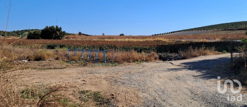 Terreny de 91.500 m² a El Drago (11620)