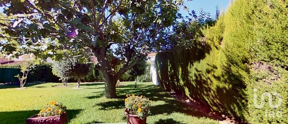 Maison 4 chambres de 110 m² à Banyeres del Penedès (43711)