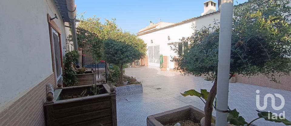 Casa de poble 6 habitacions de 275 m² a Catral (03158)