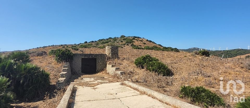 Terreno de 117.543 m² en Tarifa (11380)