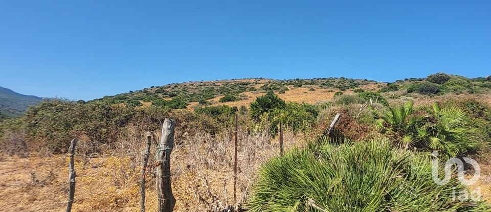 Terreno de 117.543 m² en Tarifa (11380)