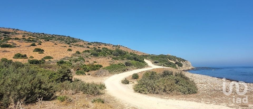 Terreno de 117.543 m² en Tarifa (11380)