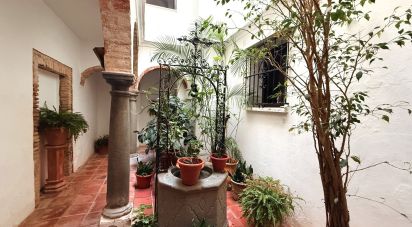 Penthouse 1 chambre de 49 m² à Tarifa (11380)