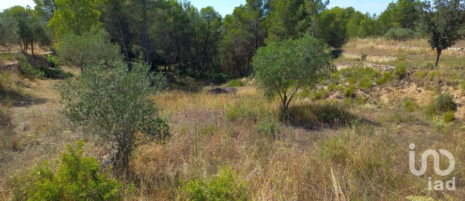 Land of 46,791 m² in Ginestar (43748)