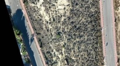 Land of 10,517 m² in Rojales (03170)