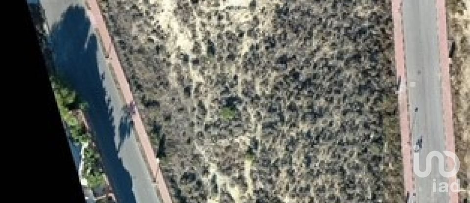 Land of 10,517 m² in Rojales (03170)