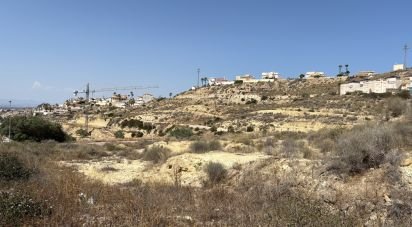 Terreny de 10.517 m² a Rojales (03170)