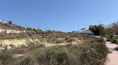 Terreny de 10.517 m² a Rojales (03170)