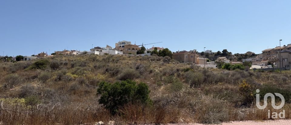 Terreno de 10.517 m² en Rojales (03170)