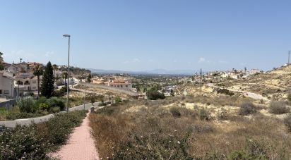 Terreny de 10.517 m² a Rojales (03170)