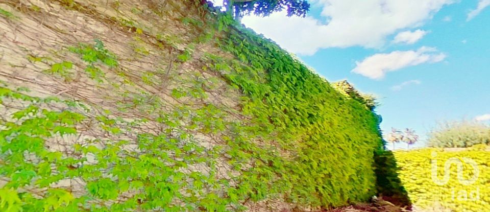 House 4 bedrooms of 400 m² in Alicante/Alacant (03015)