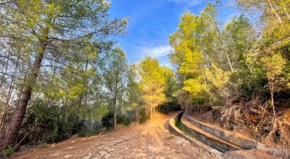 Building plot of 4,006 m² in Ador (46729)