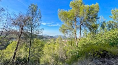 Building plot of 4,006 m² in Ador (46729)