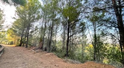 Building plot of 4,006 m² in Ador (46729)