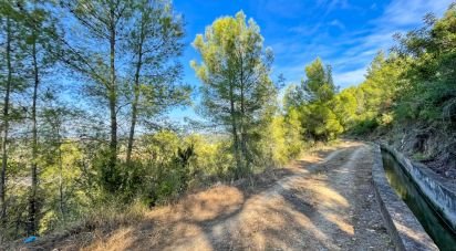 Building plot of 4,006 m² in Ador (46729)