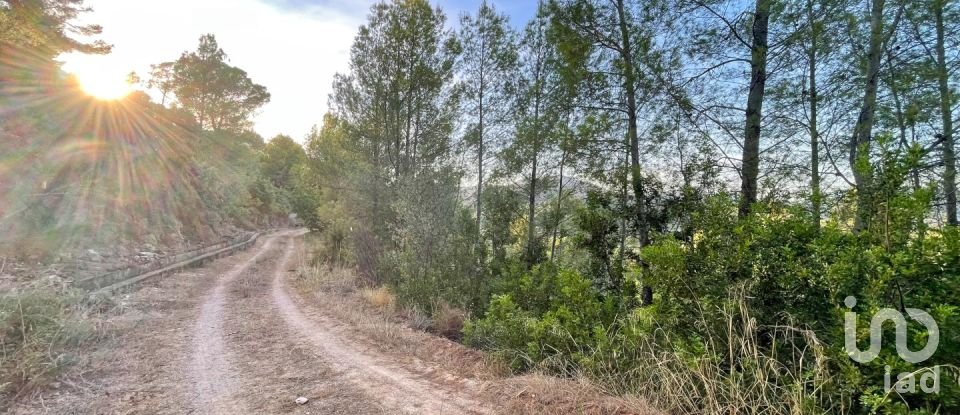 Terreno urbano de 4.006 m² en Ador (46729)