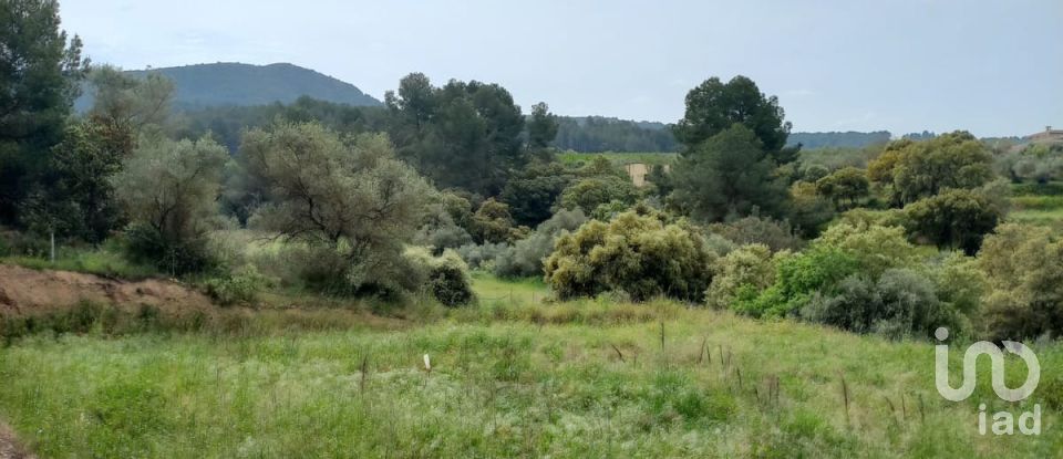 Terreny agrícola de 2.608 m² a Ginestar (43748)