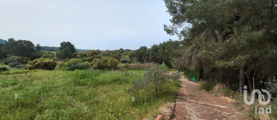 Terreny agrícola de 2.608 m² a Ginestar (43748)