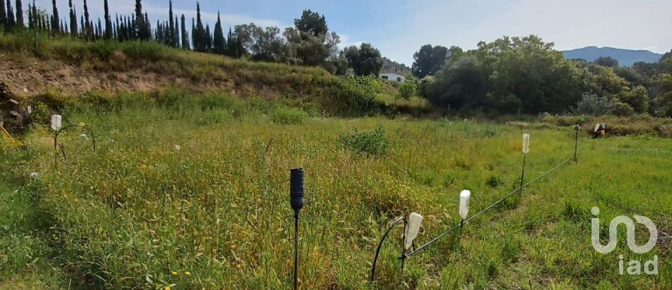 Terreny agrícola de 2.608 m² a Ginestar (43748)