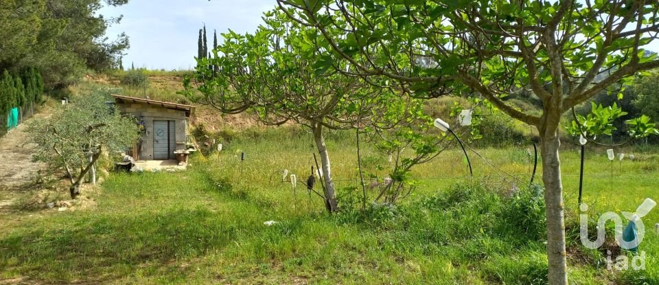 Terreny agrícola de 2.608 m² a Ginestar (43748)