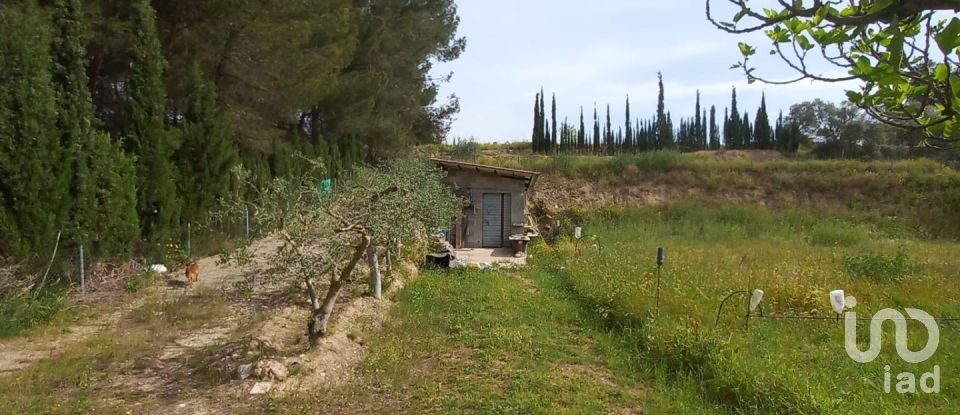 Terreny agrícola de 2.608 m² a Ginestar (43748)