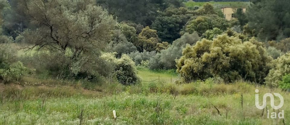 Terreny agrícola de 2.608 m² a Ginestar (43748)