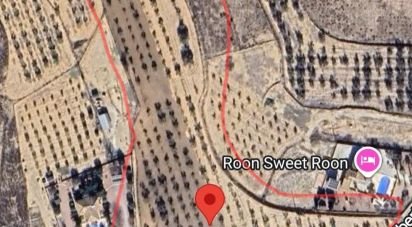 Land of 18,088 m² in Salinas (03638)