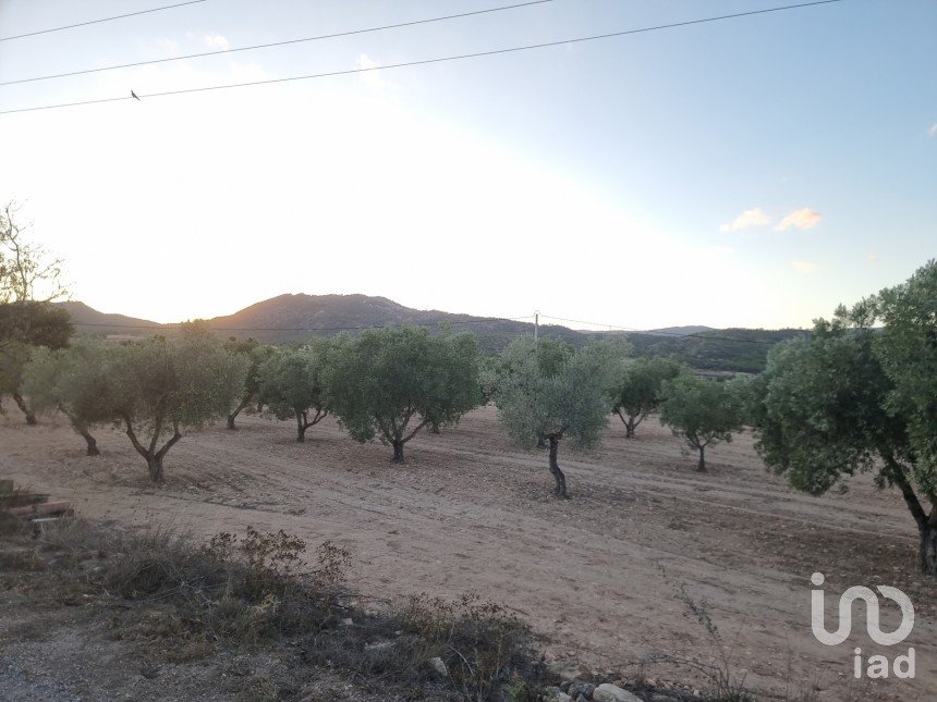 Land of 18,088 m² in Salinas (03638)