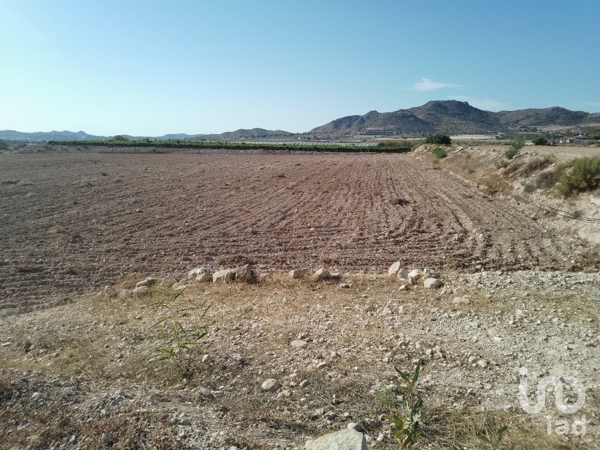 Terreno de 120.000 m² en Novelda (03660)