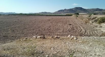 Land of 120,000 m² in Novelda (03660)