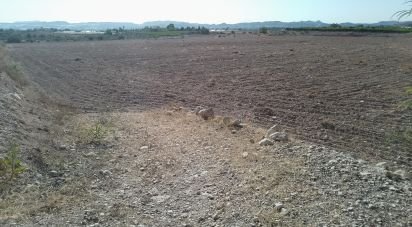 Land of 120,000 m² in Novelda (03660)