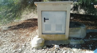 Land of 120,000 m² in Novelda (03660)