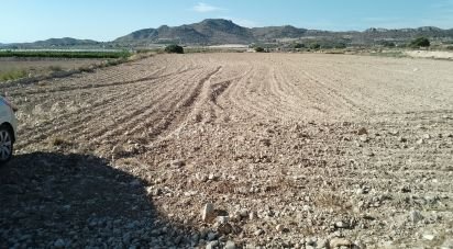 Land of 120,000 m² in Novelda (03660)