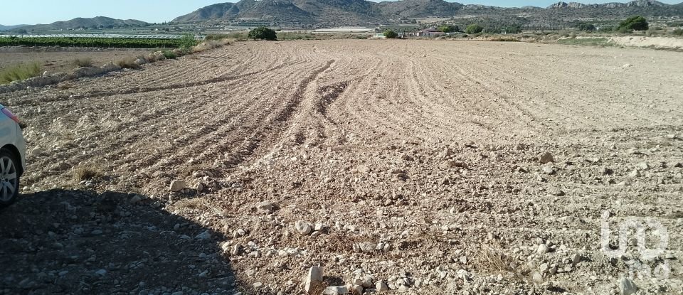 Terreno de 120.000 m² en Novelda (03660)