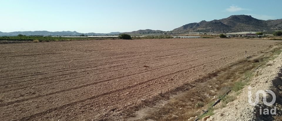Terreno de 120.000 m² en Novelda (03660)