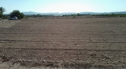 Land of 120,000 m² in Novelda (03660)
