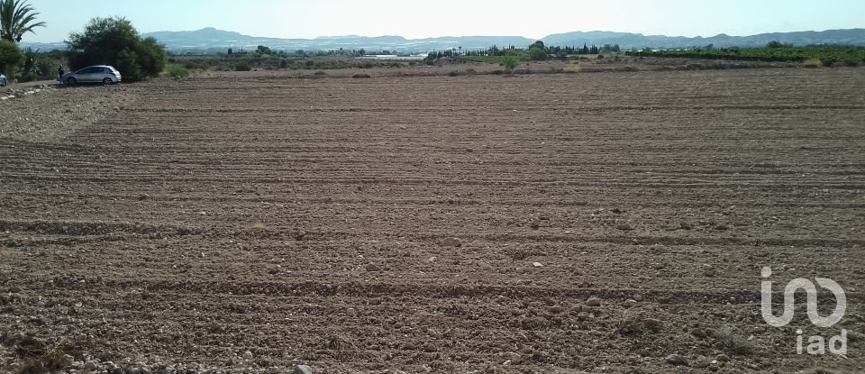 Terreno de 120.000 m² en Novelda (03660)