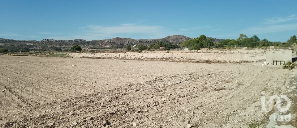 Terreno de 120.000 m² en Novelda (03660)