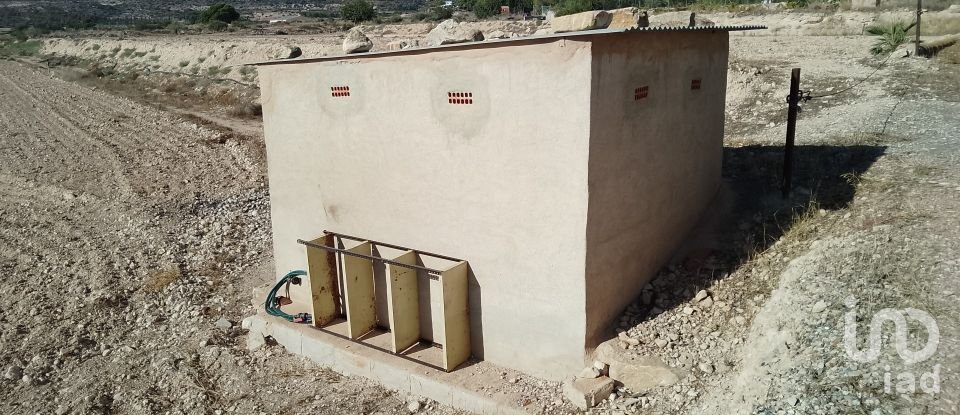 Terreno de 120.000 m² en Novelda (03660)