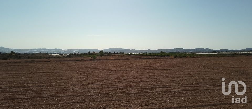 Terreno de 120.000 m² en Novelda (03660)