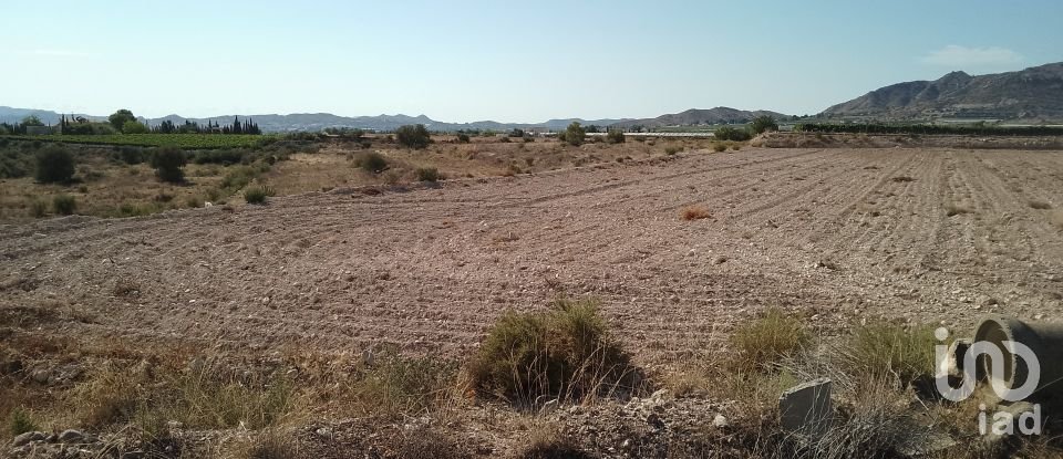 Terreno de 120.000 m² en Novelda (03660)