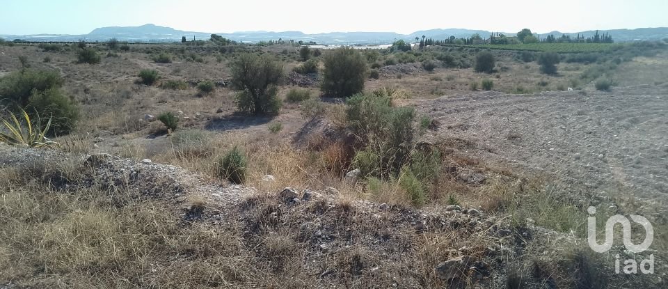 Terreno de 120.000 m² en Novelda (03660)