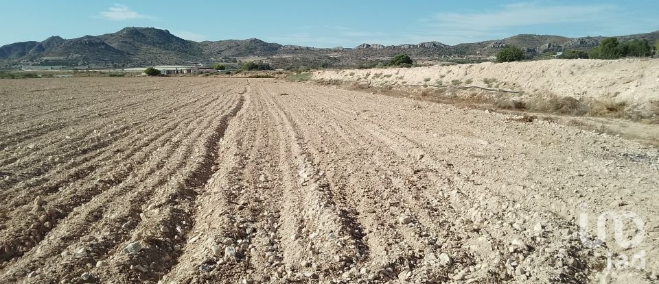 Terreno de 120.000 m² en Novelda (03660)