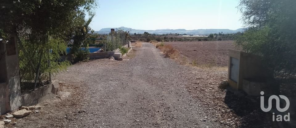 Terreno de 120.000 m² en Novelda (03660)